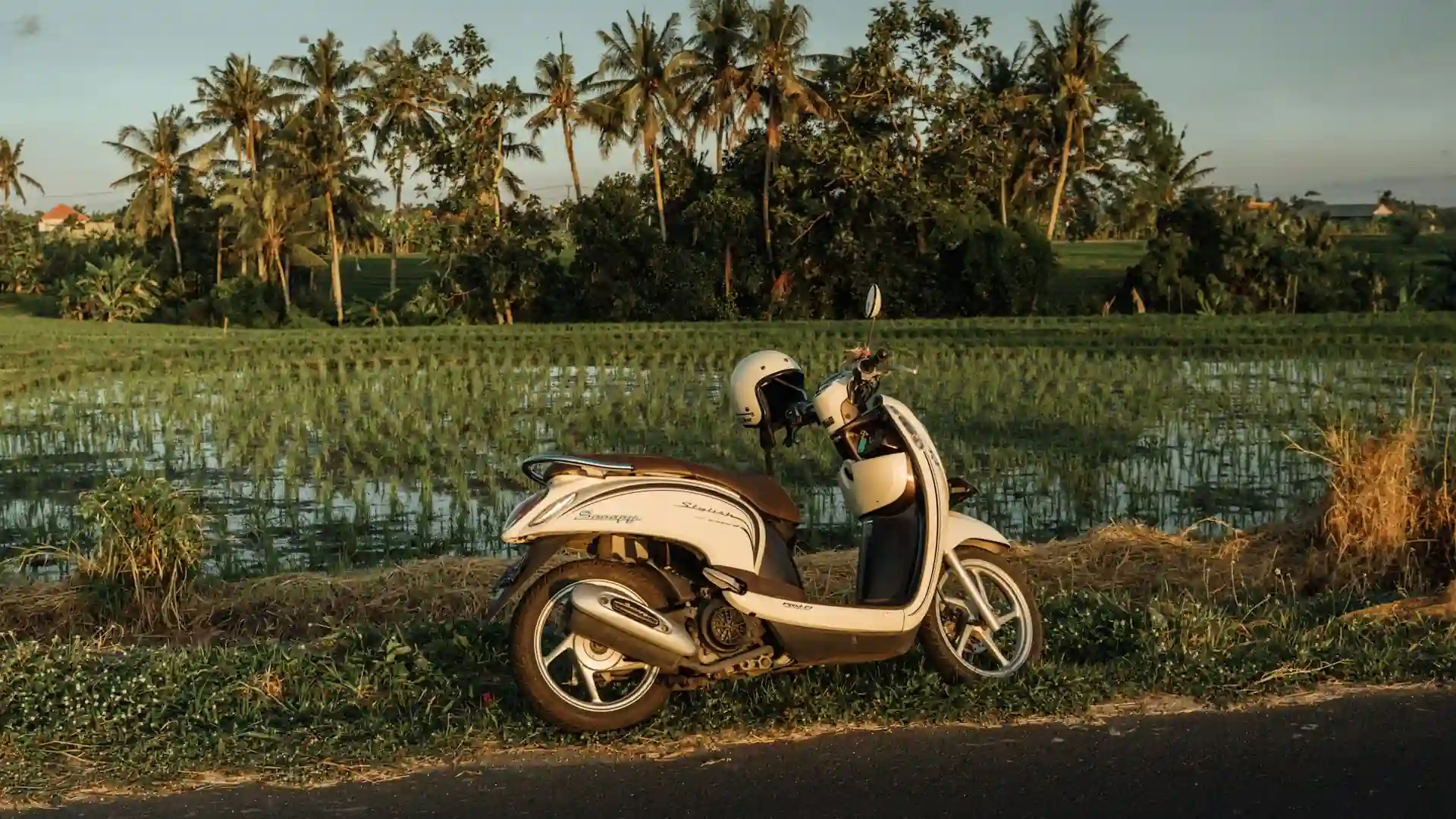 Scooter parked beside a Bali rice field