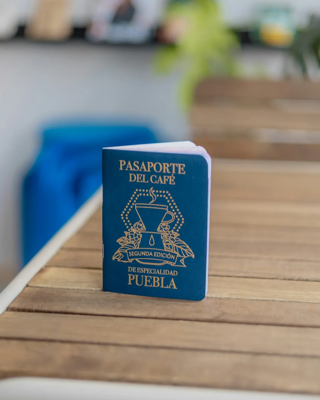 Passport standing on a wooden table