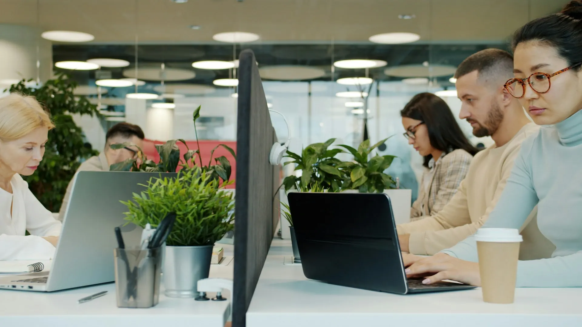 Team working at laptops in a bright office