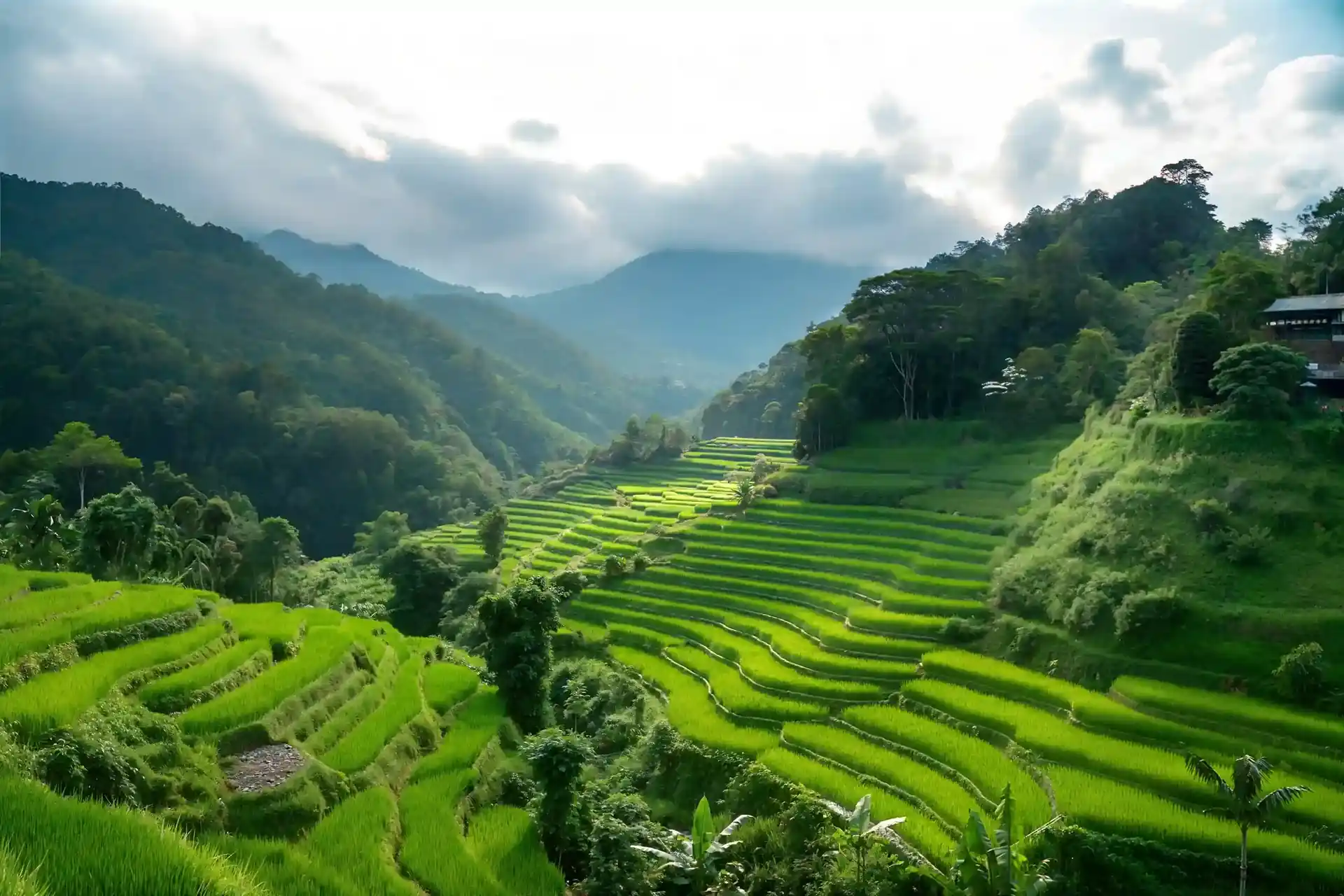 Bali Work Visa vs. Second Home Visa 2027: A Definitive Guide