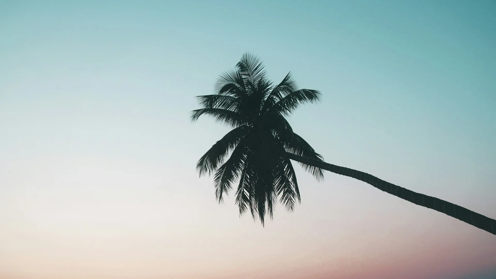 Step‑by‑Step: How to Apply for a Bali Work KITAS (E23) from Start to Finish